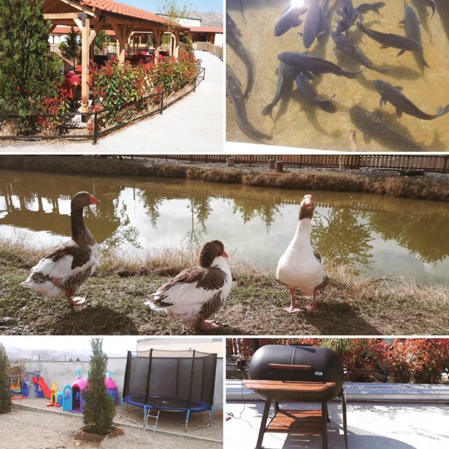 Hotel&Spamontenegro Rivijera Βελεσά Εξωτερικό φωτογραφία